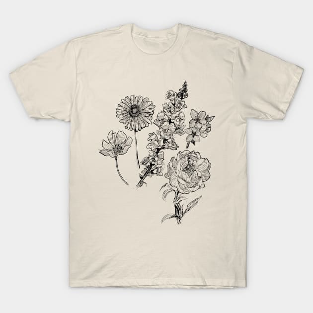 Flower Sketch Illustration - Gerbera, Snapdragon, Rose, Plum Blossom, Cosmos T-Shirt by GeorgiaGoddard